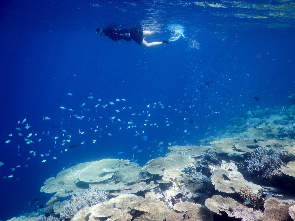 Dhivehi Experience Hotel Dhigurah  Luaran gambar
