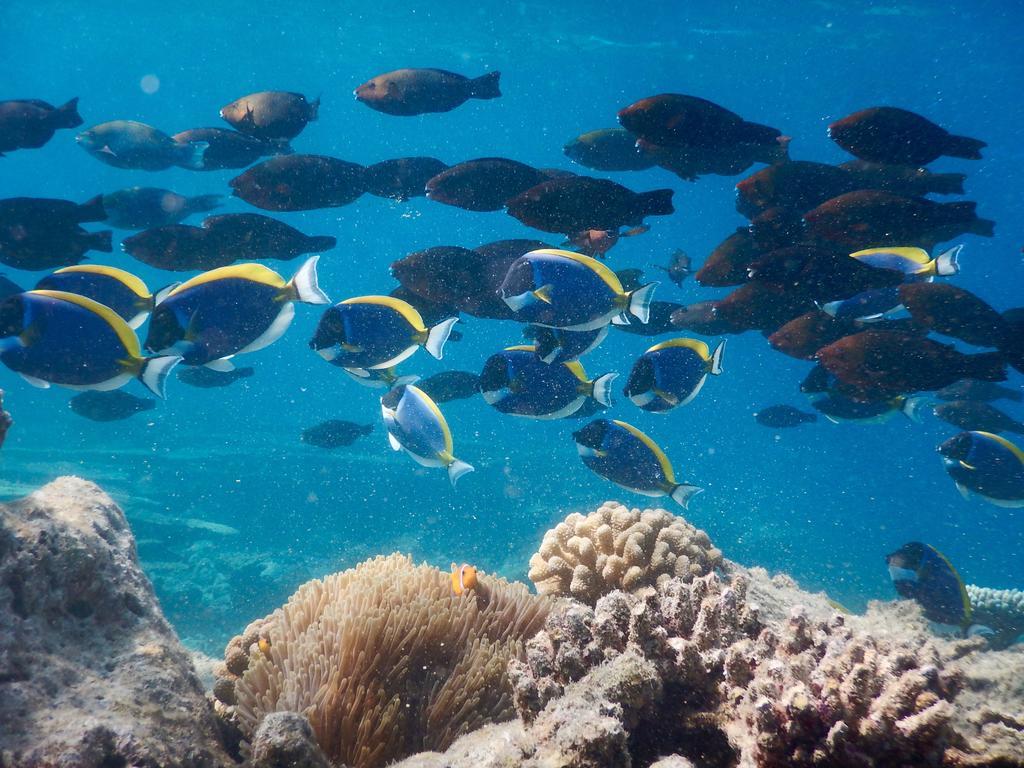 Dhivehi Experience Hotel Dhigurah  Luaran gambar