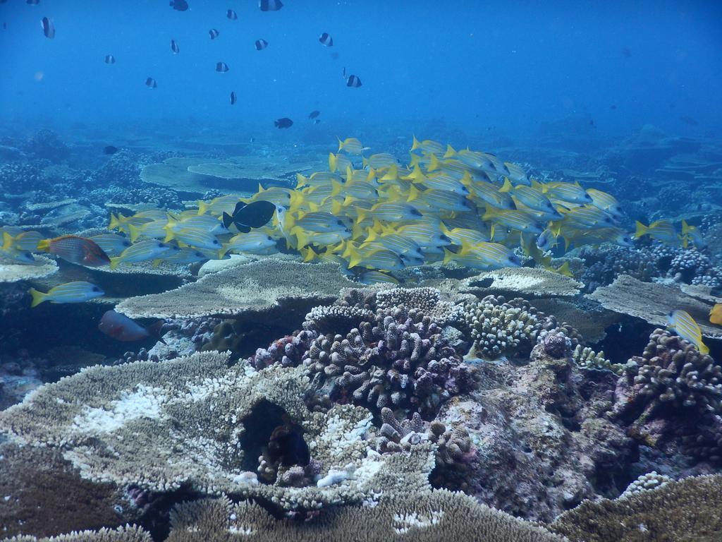 Dhivehi Experience Hotel Dhigurah  Luaran gambar
