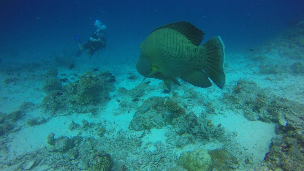 Dhivehi Experience Hotel Dhigurah  Luaran gambar