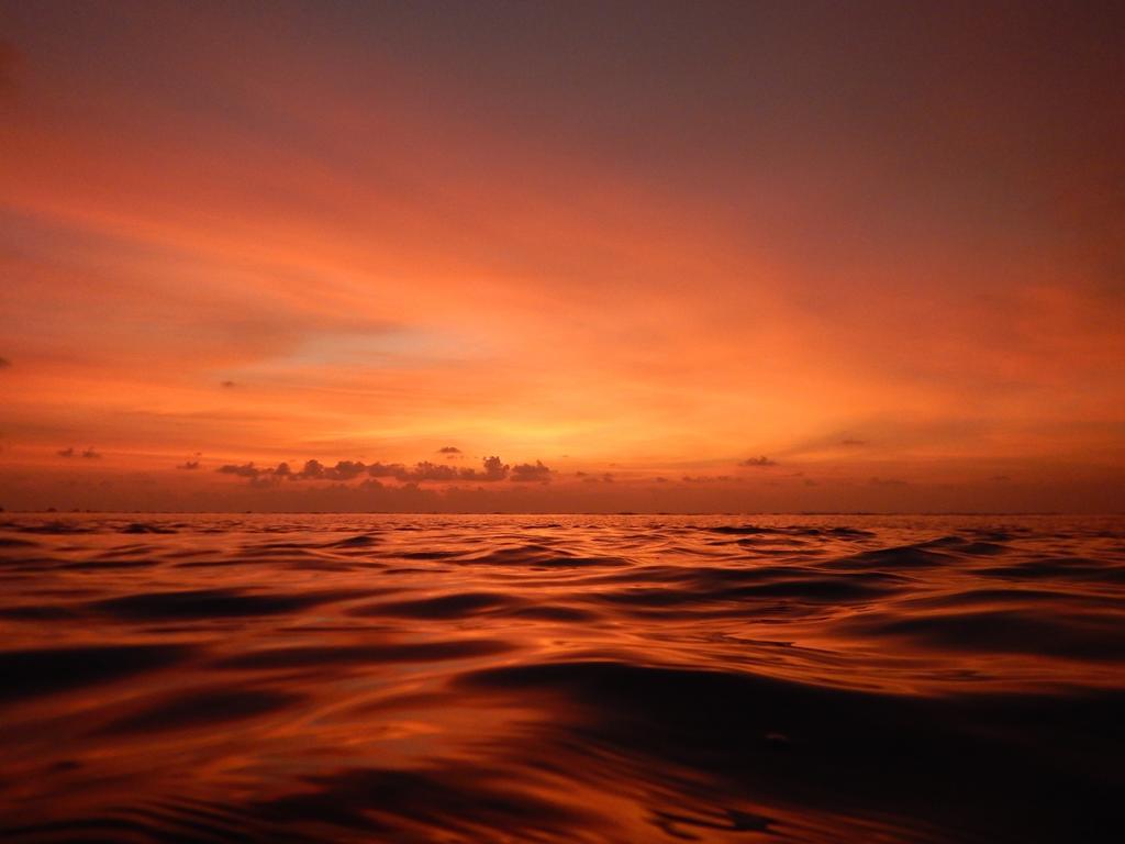 Dhivehi Experience Hotel Dhigurah  Luaran gambar