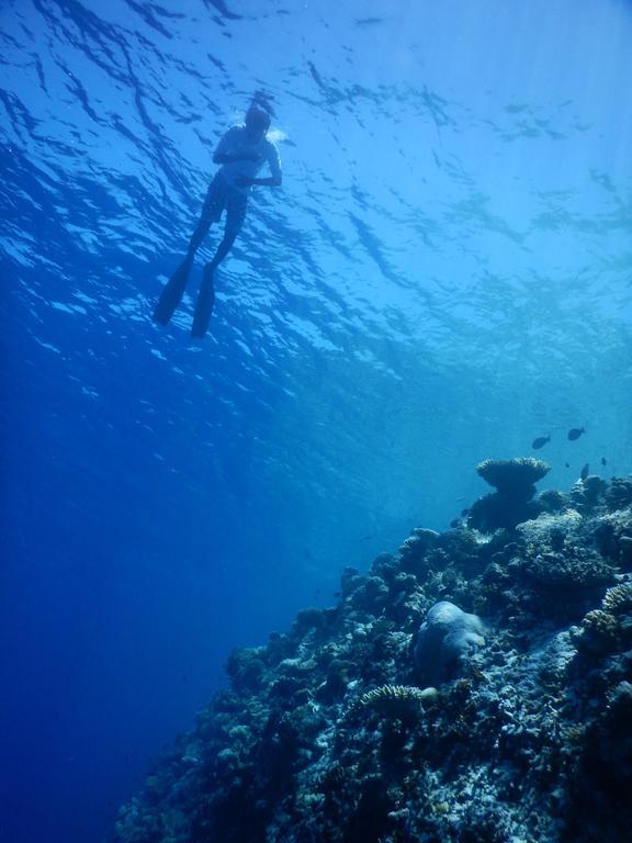 Dhivehi Experience Hotel Dhigurah  Luaran gambar